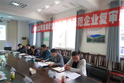 瀘天化安全文化示范企業(yè)復(fù)評驗(yàn)收 (5).JPG