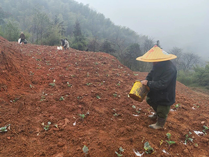 瀘天化股份公司春肥送暖助春耕