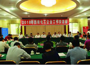 西南化工企業(yè)工作交流會(huì)在瀘天化召開