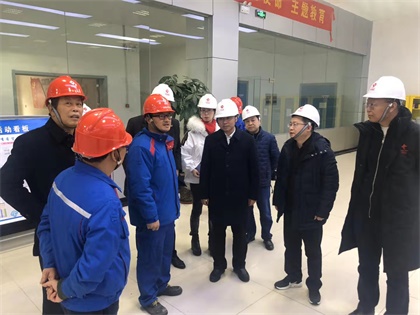 瀘天化股份公司黨委書記廖廷君率隊(duì)赴中鹽紅四方公司及史丹利公司調(diào)研