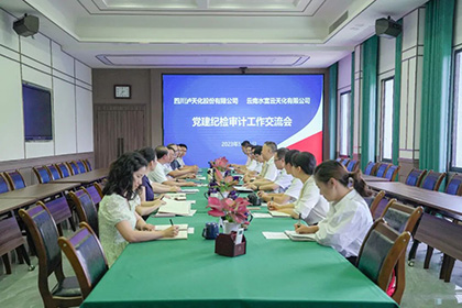 云南水富云天化有限公司到我公司開展黨建紀檢審計工作經驗交流